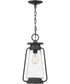 Sutton Large 1-light Outdoor Pendant Light Speckled Black