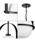 Delayne 1-Light Mid-Century Modern Etched Opal Glass Pendant Light Matte Black