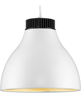 LED Pendant Lights
