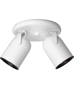 2-Light Multi Directional Roundback Wall/Ceiling Fixture White