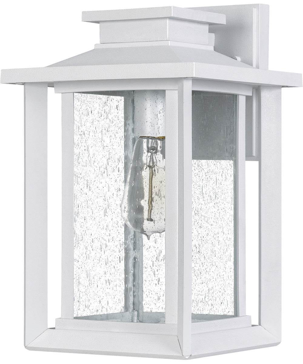 Wakefield Medium 1-light Outdoor Wall Light  Coastal Armour White Lustre
