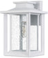Wakefield Medium 1-light Outdoor Wall Light  Coastal Armour White Lustre