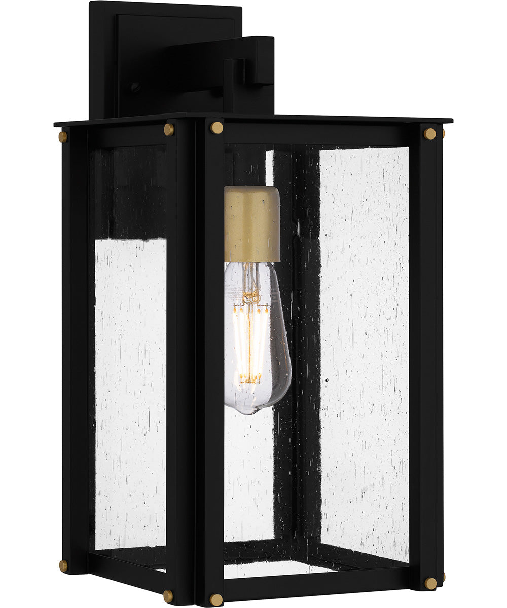 Robbins Medium 1-light Outdoor Wall Light  Coastal Armour Aluminum Matte Black