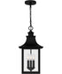 Chancellor 3-light Mini Pendant Mystic Black