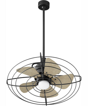 24" Bandit 1-light LED Patio Indoor/Outdoor Ceiling Fan Textured Black