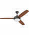 Ceiling Fans with Remotes