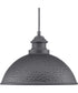 Englewood 1-Light Hanging Lantern Textured Black