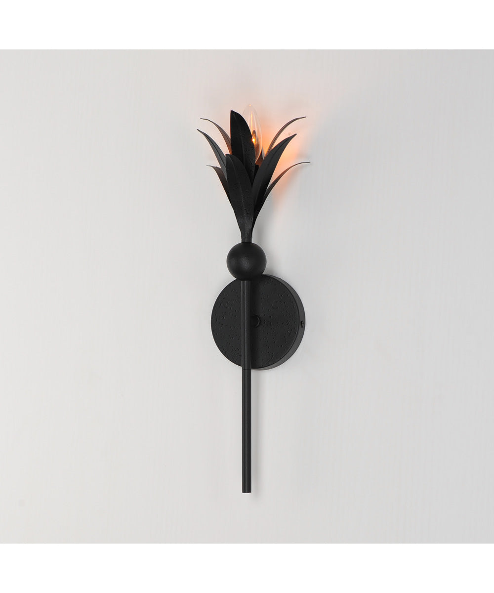 Paloma 1-Light Sconce Anthracite