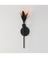 Paloma 1-Light Sconce Anthracite