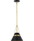 Adina 1-Light Pendant Matte Black