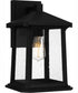 Satterfield Large 1-light Outdoor Wall Light  Coastal Armour Matte Black
