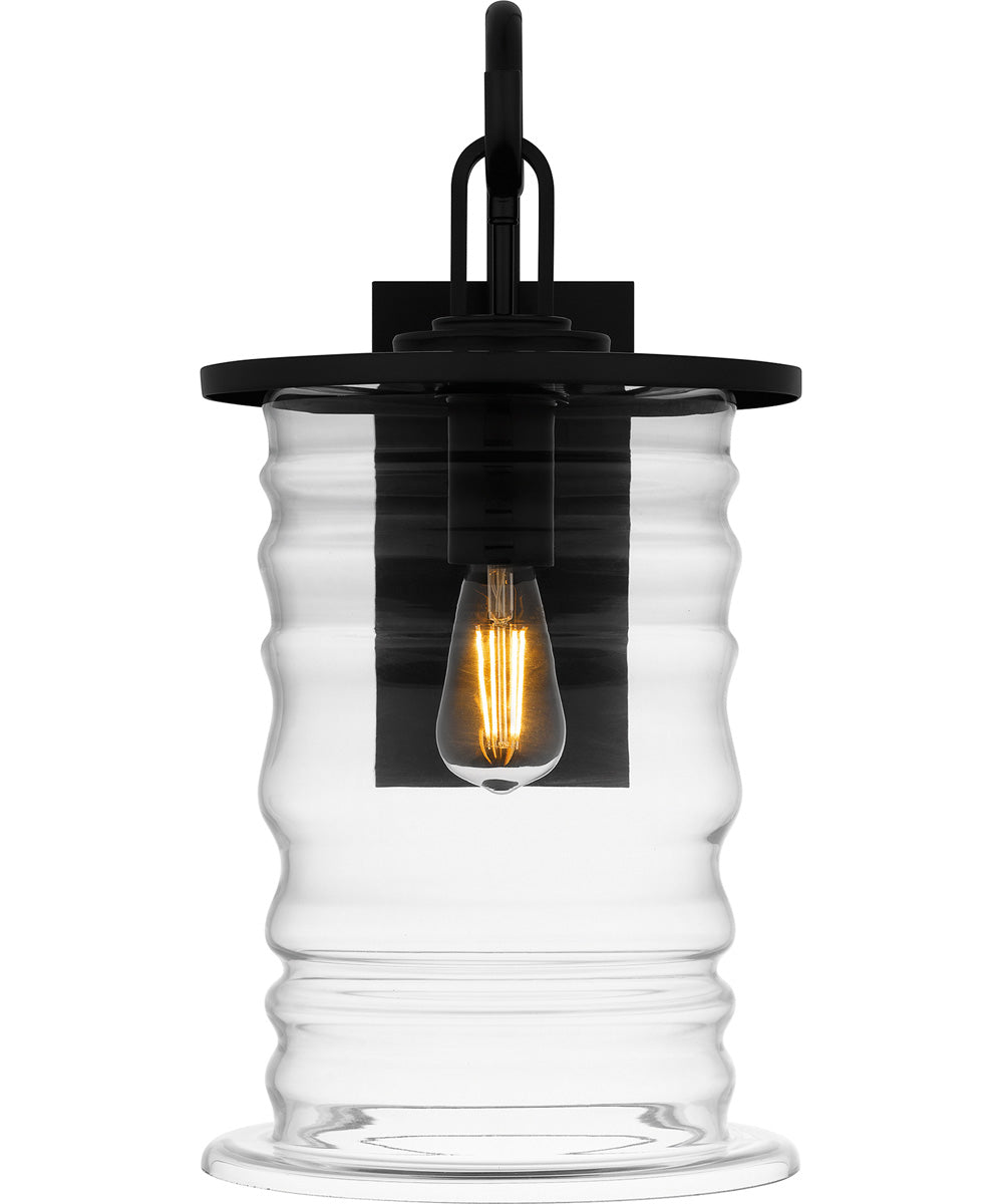 Noland Large 1-light Outdoor Wall Light  Coastal Armour Aluminum Matte Black