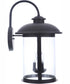 O'Fallon 3-Light Outdoor Wall Lantern Dark Bronze Gilded