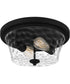 Acacia 2-light Flush Mount Matte Black