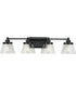 Hinton 4-Light Clear Seeded Glass Farmhouse Bath Vanity Light Matte Black