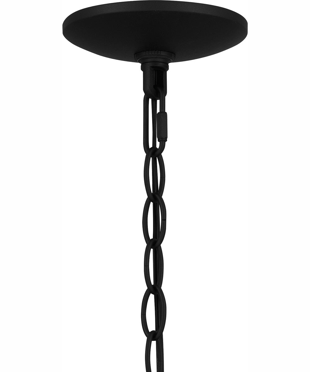 Reece Large 1-light Outdoor Pendant Light  Coastal Armour Aluminum Earth Black