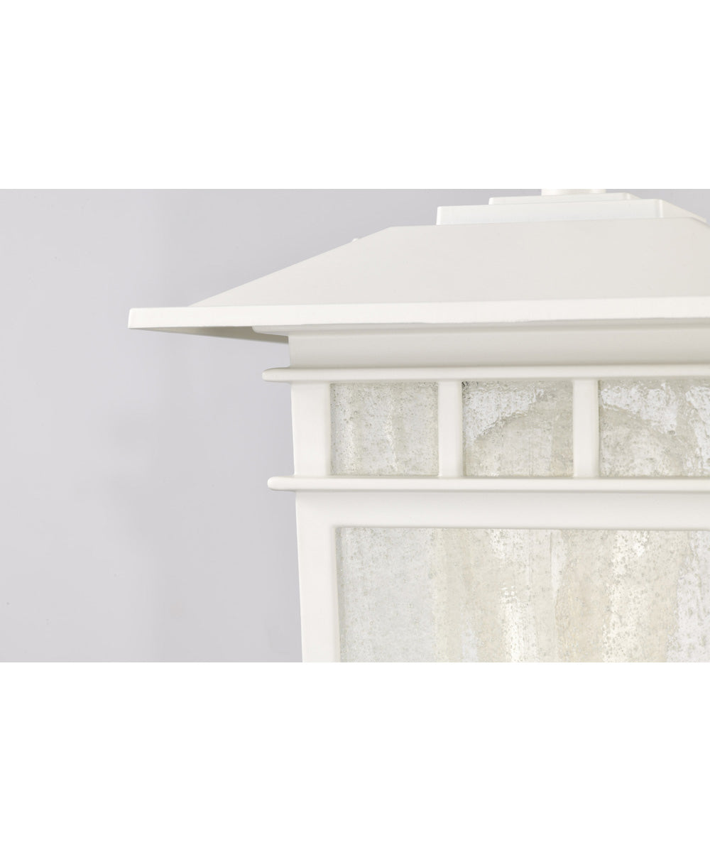 Cove Neck 1-Light Outdoor White