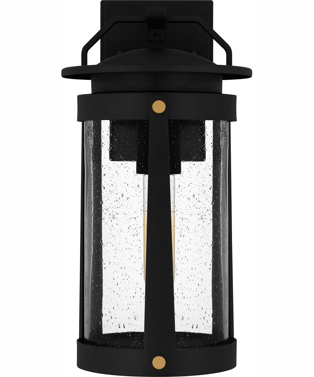 Clifton Medium 1-light Outdoor Wall Light  Coastal Armour Aluminum Earth Black