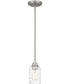 Acacia Small 1-light Mini Pendant Brushed Nickel