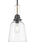 Rushton 1-Light Graphite/Vintage Brass Clear Glass Industrial Style Hanging Pendant Light Graphite