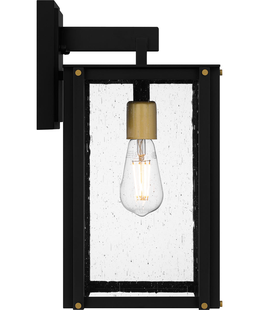 Robbins Medium 1-light Outdoor Wall Light  Coastal Armour Aluminum Matte Black