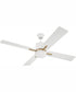 52" Teana 1-Light Ceiling Fan White/Satin Brass