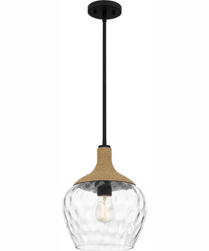 Quoizel Piccolo Pendant 1-light Mini Pendant Matte Black