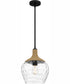 Quoizel Piccolo Pendant 1-light Mini Pendant Matte Black