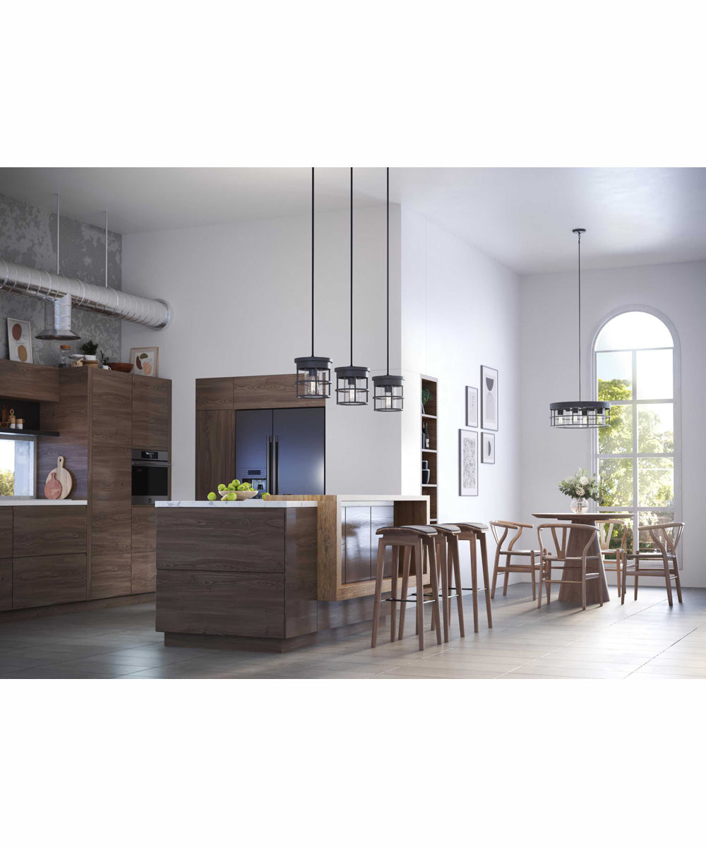 Burgess 1-Light Modern Farmhouse Pendant Matte Black