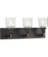 Rushton 3-Light Clear Glass Farmhouse Bath Vanity Light Graphite