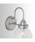 Daphne 1-Light Sconce Brushed Nickel Painted