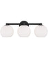 Ansley 3-Light Vanity Matte Black