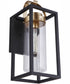 Neo 1-Light Outdoor Wall Lantern Midnight Satin Brass
