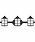 Hazlett Large 3-light Bath Light Matte Black