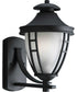 Fairview 1-Light Wall Lantern Textured Black