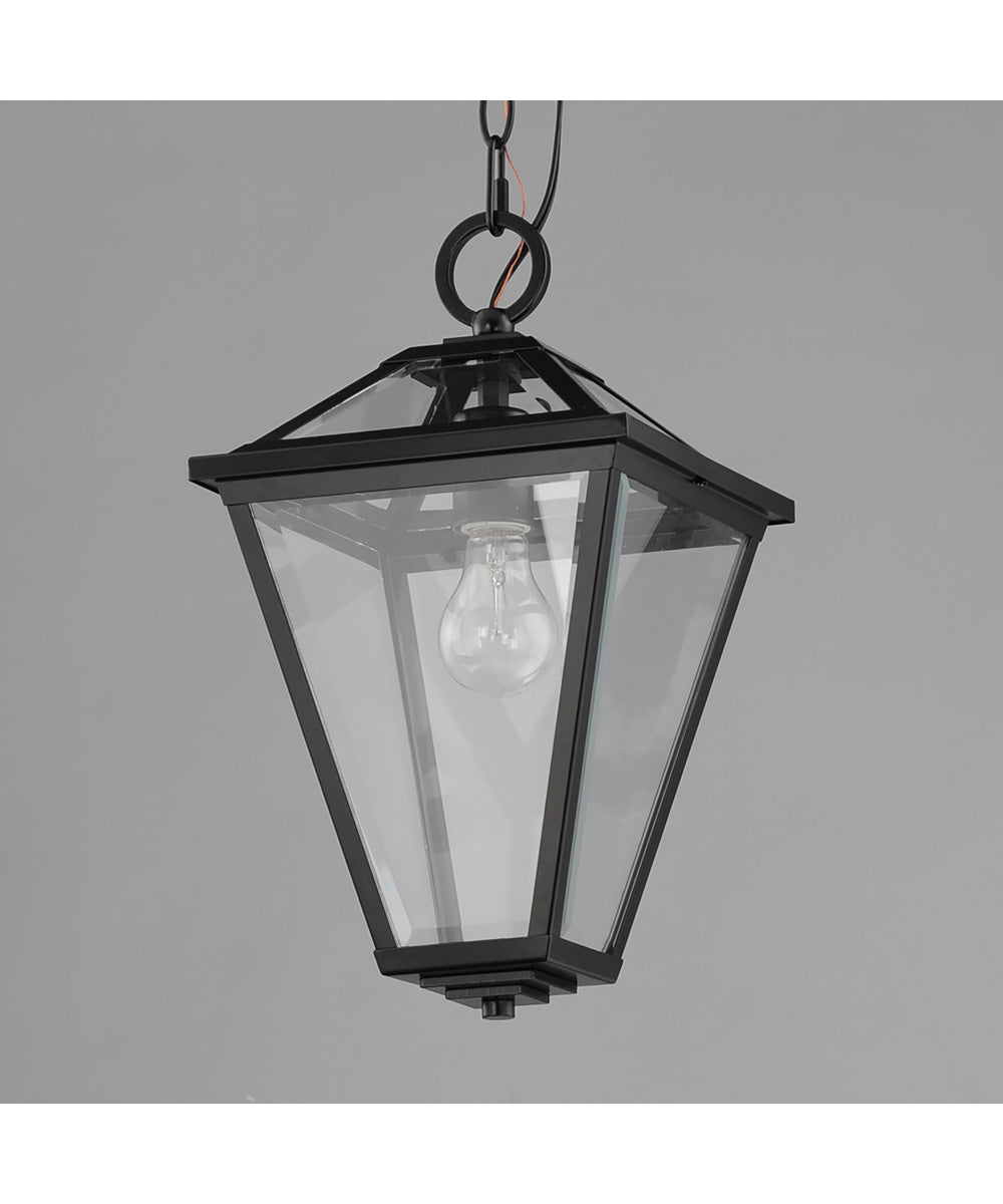 Prism 16 inch Outdoor Pendant Black