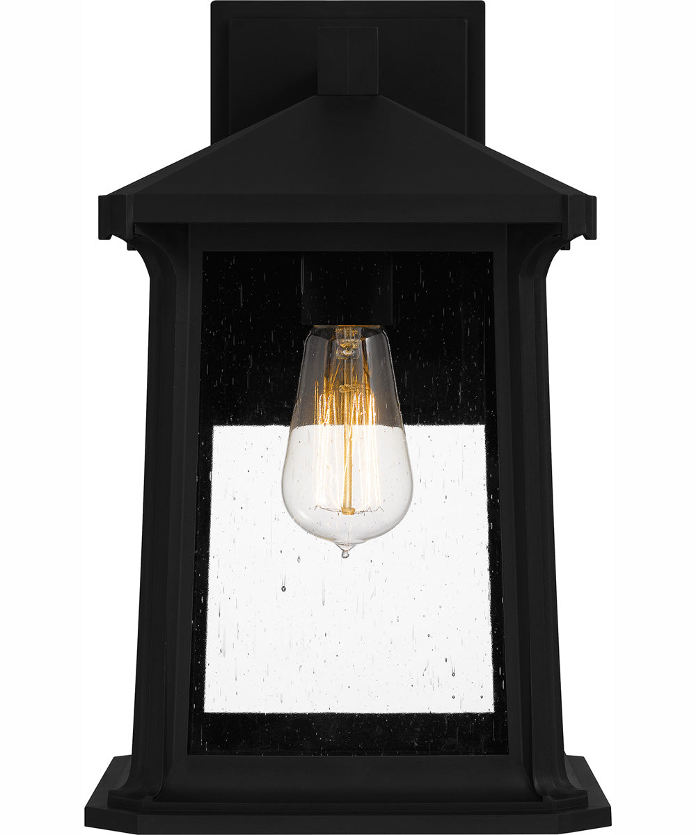 Satterfield Large 1-light Outdoor Wall Light  Coastal Armour Matte Black