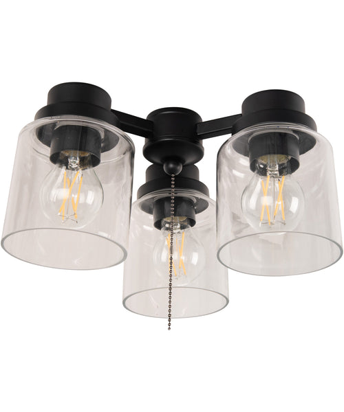 Craftmade 3 Light Fitter and Glass 3-Light LED Filament Fan Light Kit ...