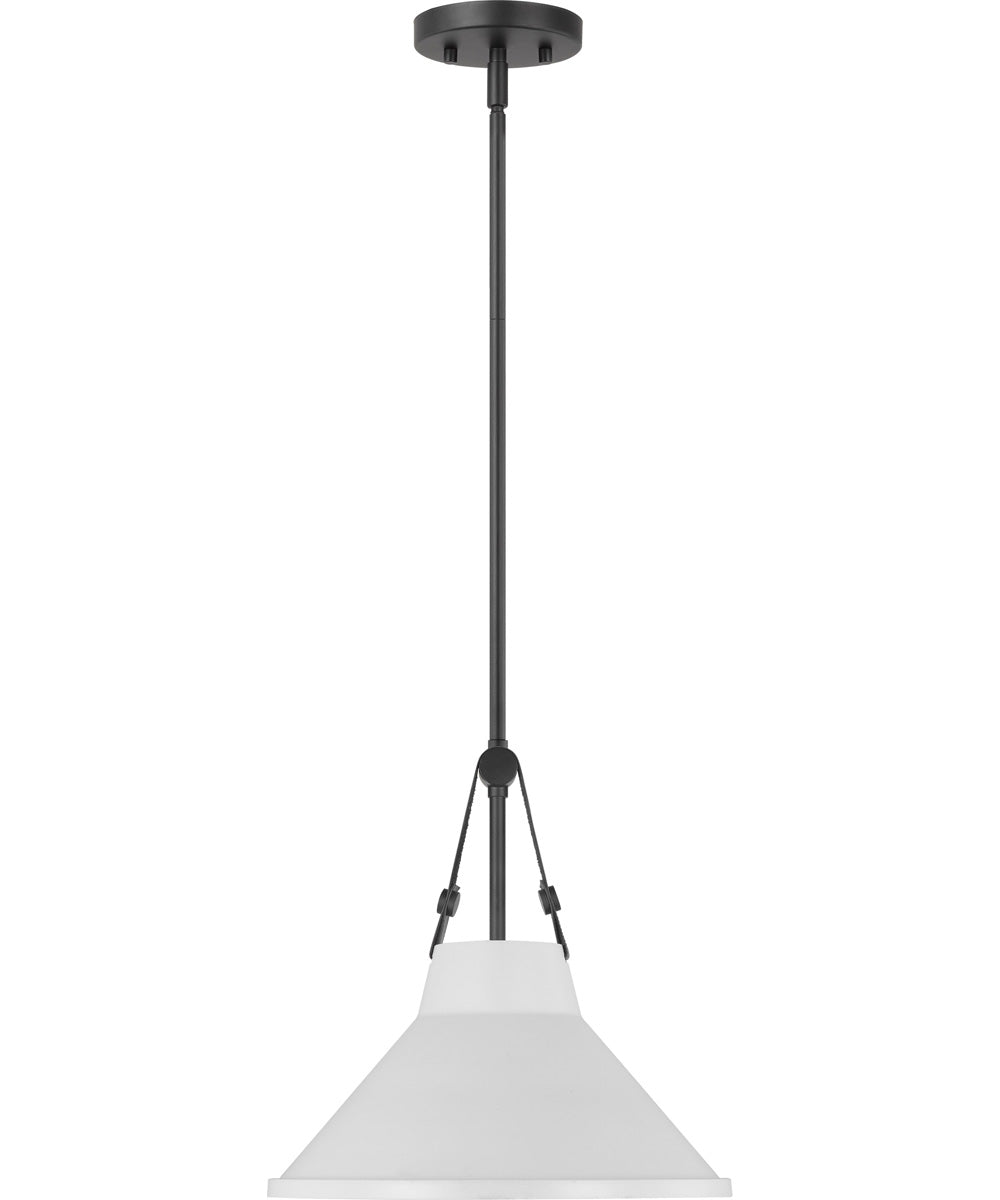 Zelda 1-Light Pendant Black