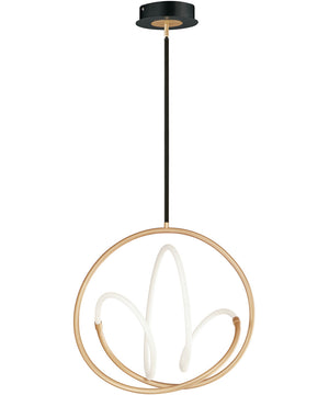 Mobius 24 inch LED Pendant Black / Gold