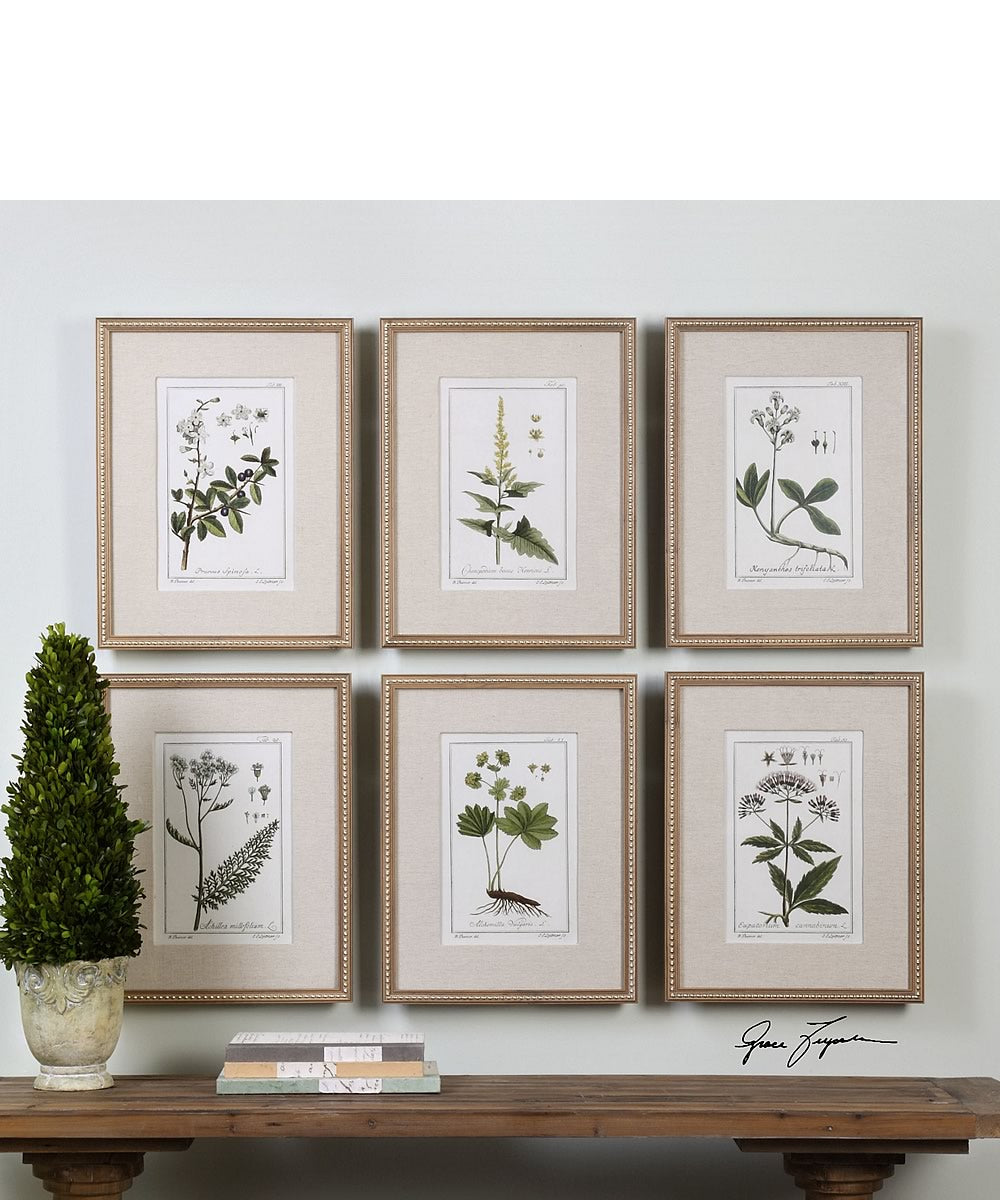 23"H x 18"W Green Floral Botanical Study Prints Set of 6