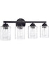 Bolden 4-Light Bath Vanity Light Flat Black