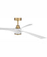 60" Phoebe 1-Light Indoor/Outdoor Ceiling Fan Satin Brass