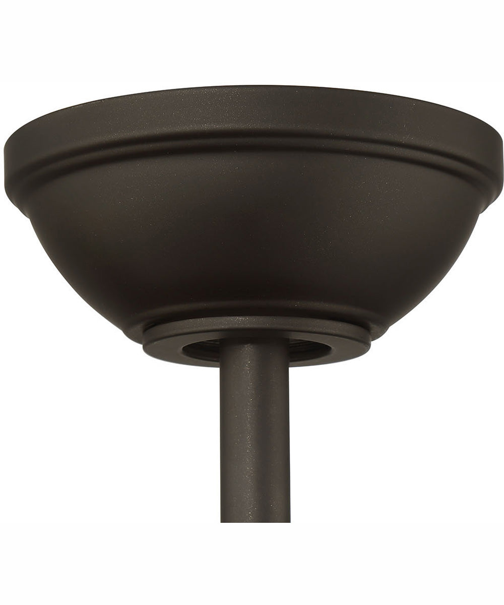 56" Nash 4-Light Indoor/Outdoor Ceiling Fan Espresso