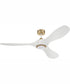 60" Envy 1-Light Indoor/Outdoor Ceiling Fan White/Satin Brass