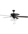 Ceiling Fans with Lights
