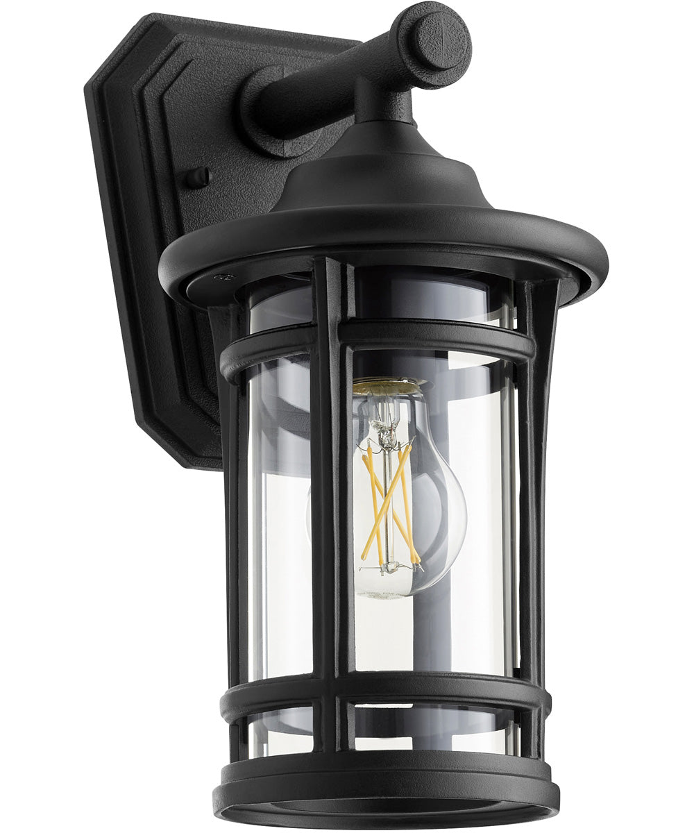 Haley 1-light Outdoor Wall Lantern Noir