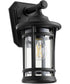 Haley 1-light Outdoor Wall Lantern Noir