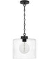 Abner Small 1-light Mini Pendant Matte Black