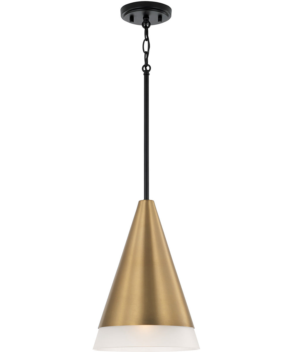 Avant 1-Light Pendant Aged Brass and Black